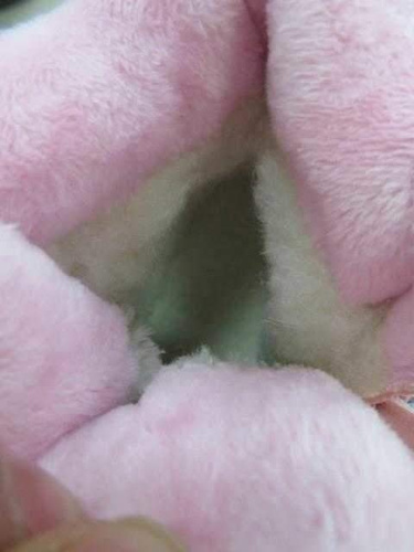 Trzewiki dziewczęce 3AH375.PINK (26/31,12par)