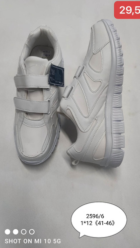 Buty sportowe męskie 2596-6.WHITE (41/46,12par)