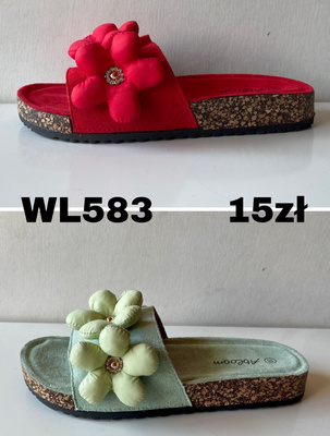 Klapki damskie WL583.KOLORDOWYBORU (36/41,12par)